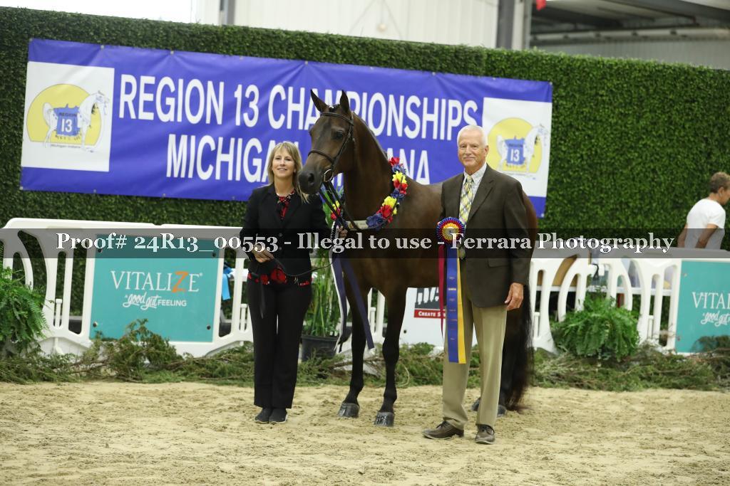 Proof 24R13_00553