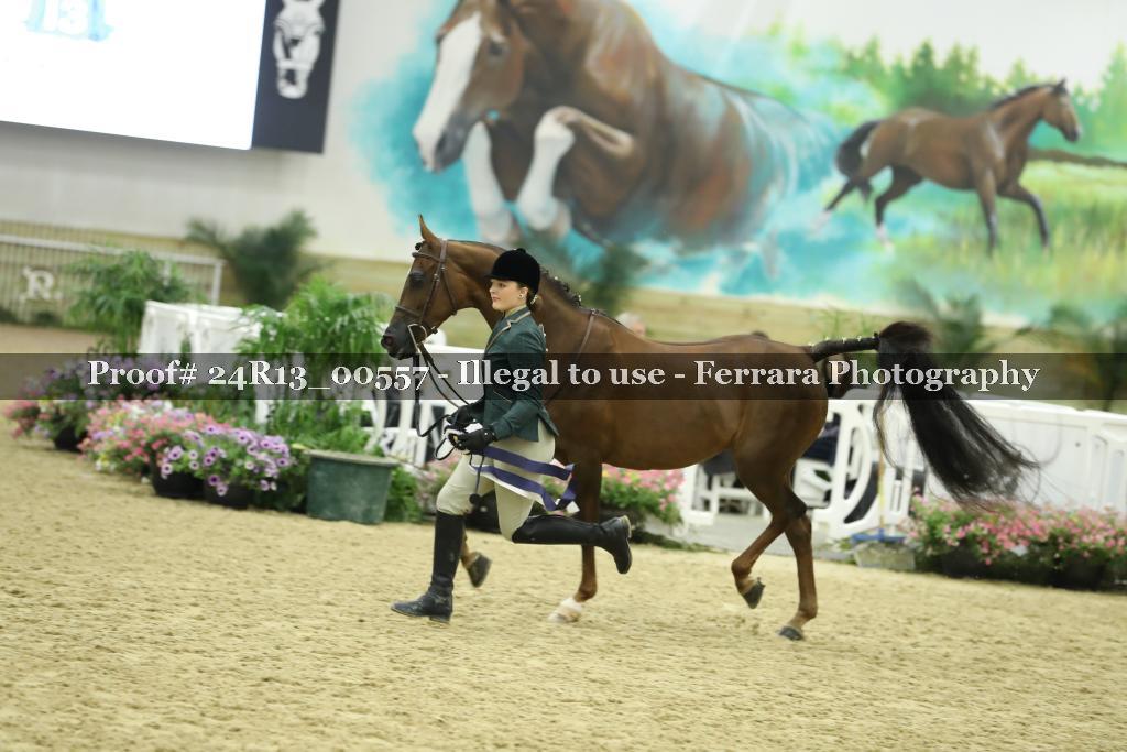 Proof 24R13_00557