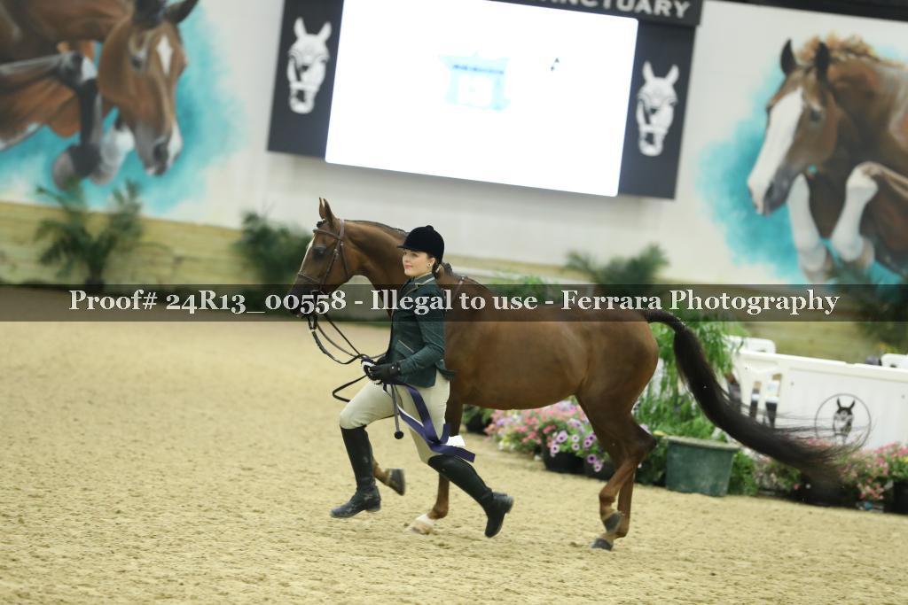 Proof 24R13_00558