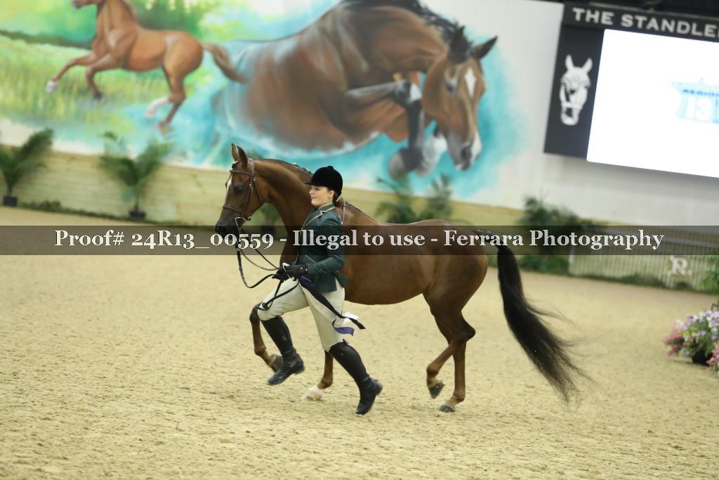 Proof 24R13_00559