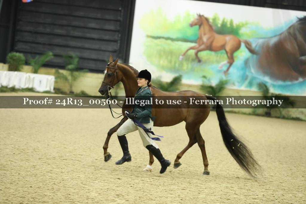 Proof 24R13_00560