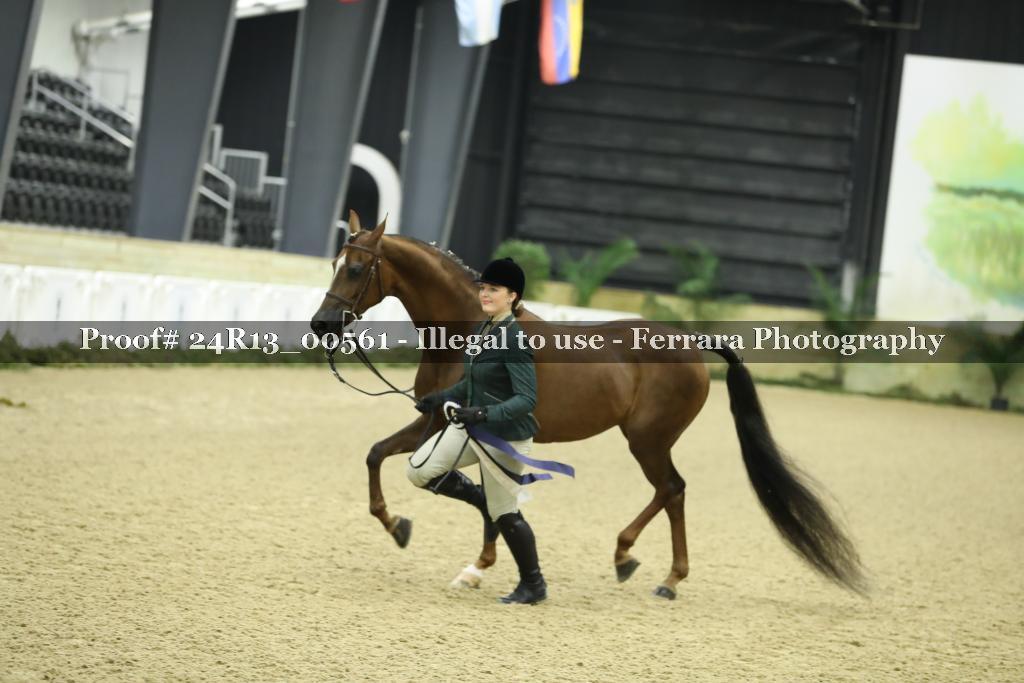 Proof 24R13_00561