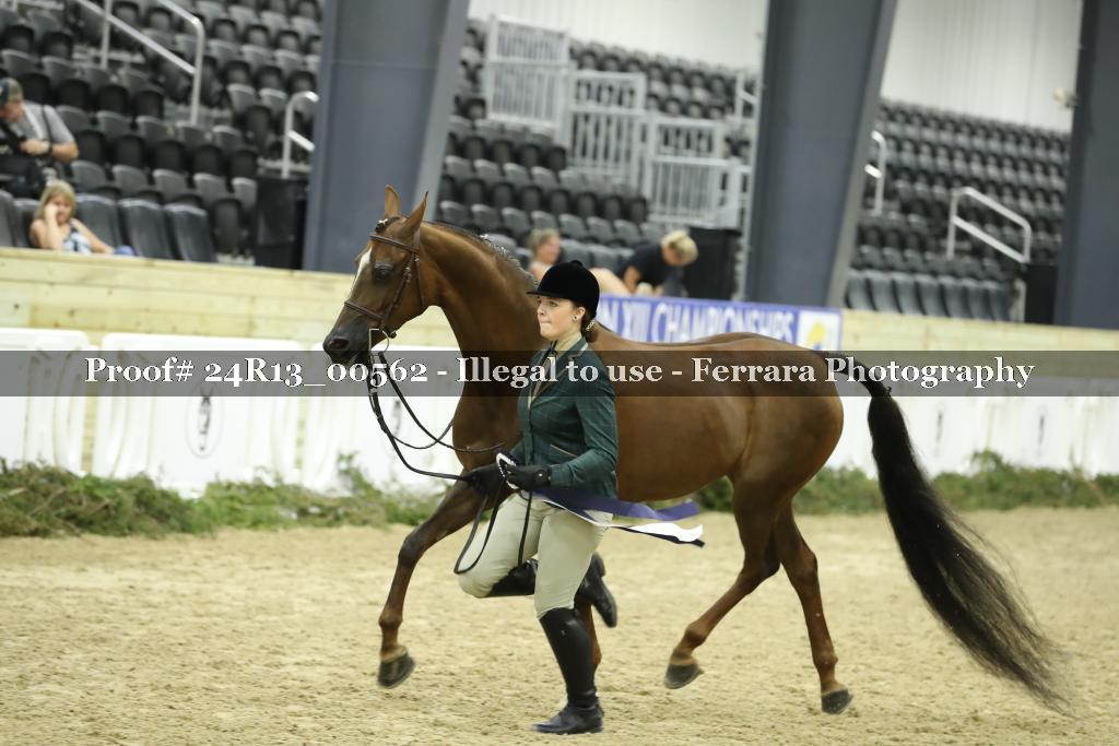 Proof 24R13_00562