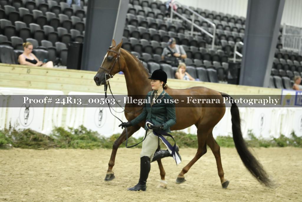 Proof 24R13_00563