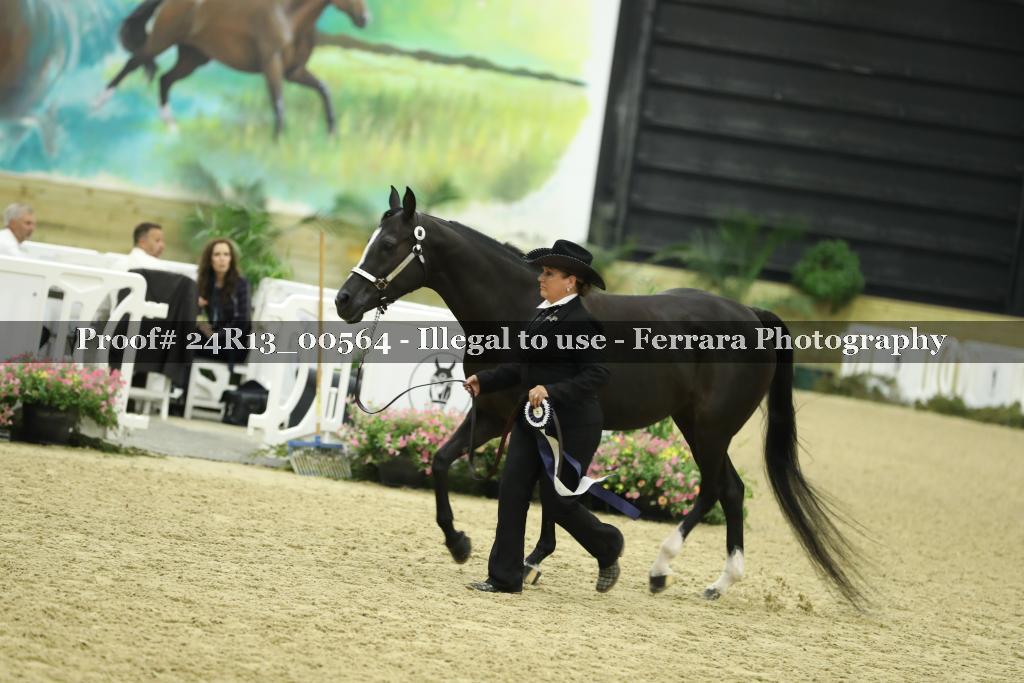 Proof 24R13_00564
