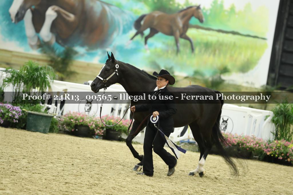 Proof 24R13_00565