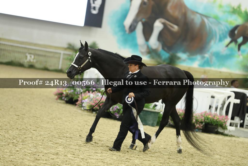 Proof 24R13_00566