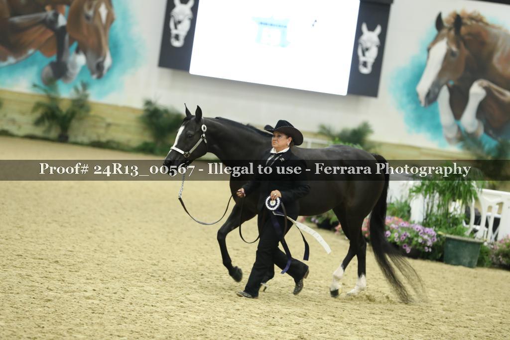 Proof 24R13_00567