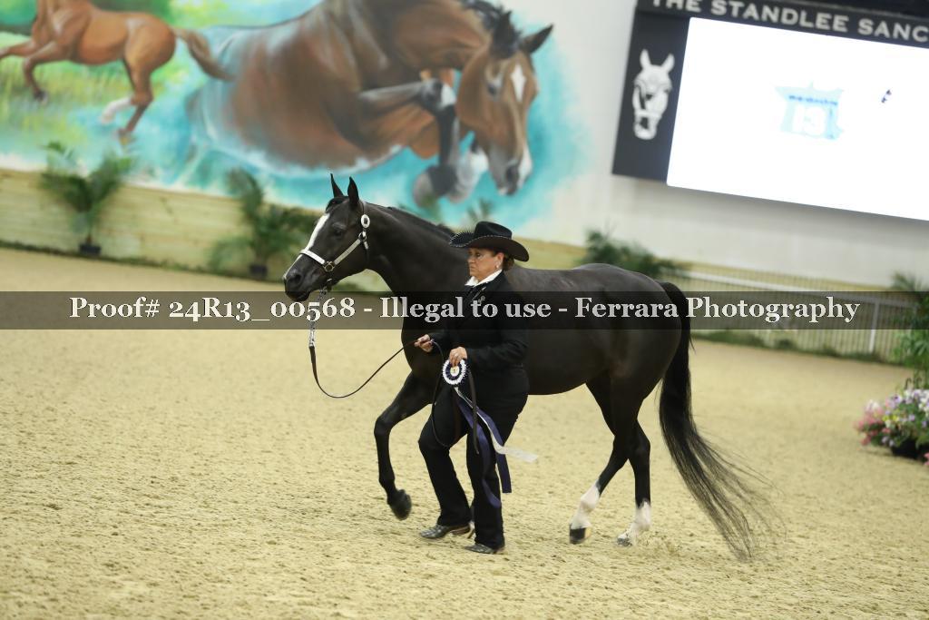 Proof 24R13_00568