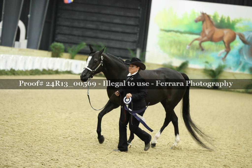 Proof 24R13_00569
