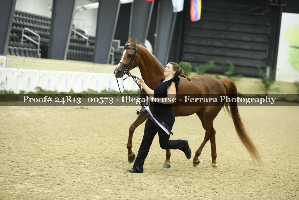 Proof 24R13_00573