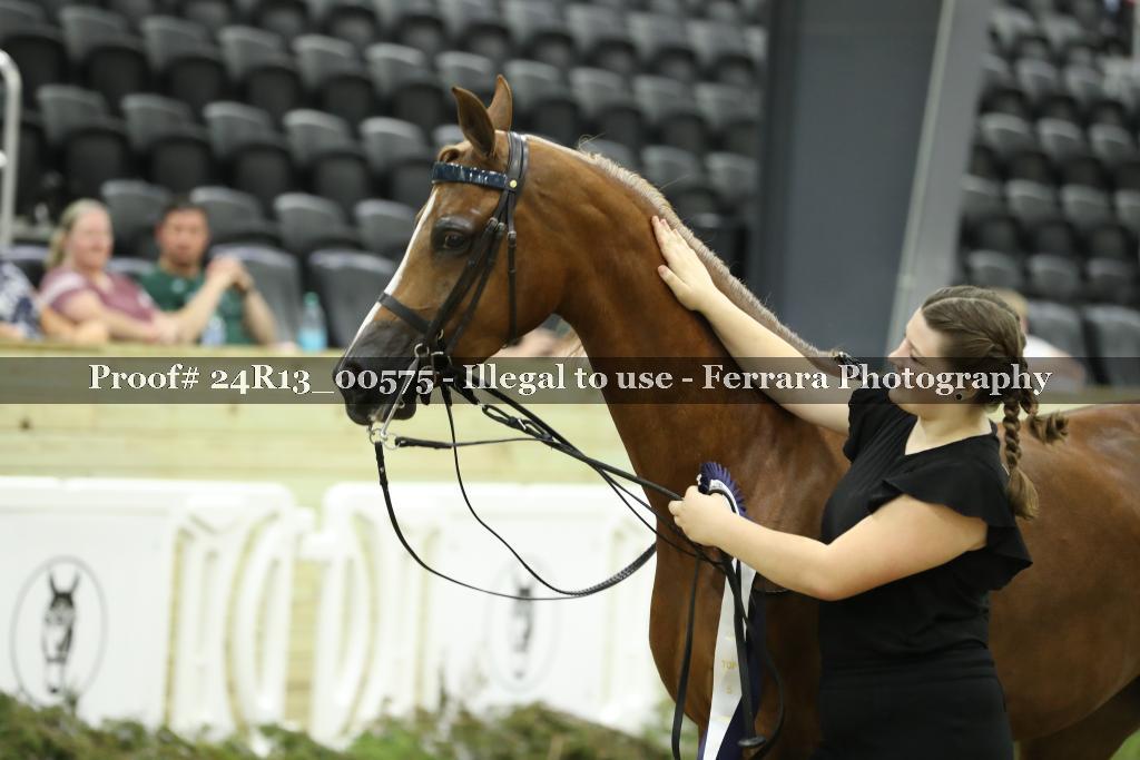 Proof 24R13_00575
