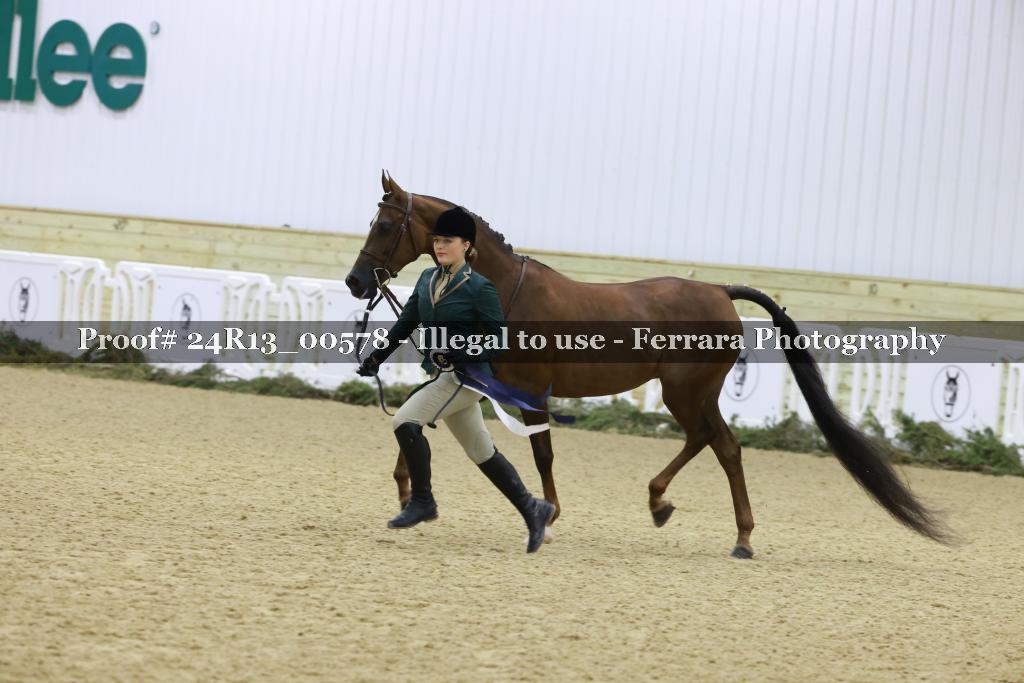 Proof 24R13_00578