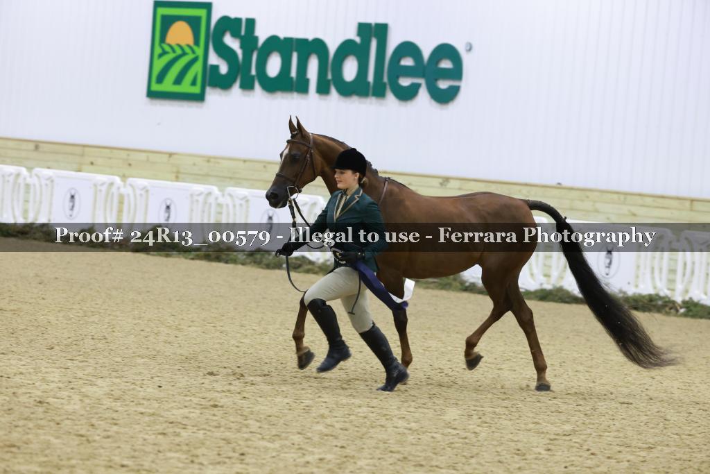Proof 24R13_00579