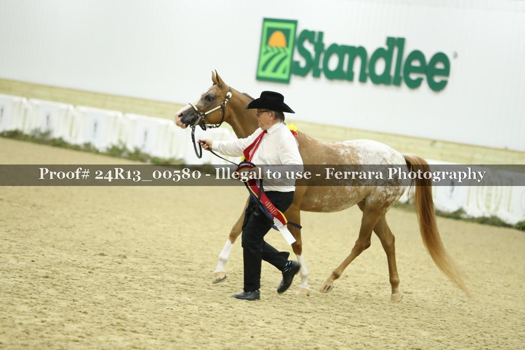 Proof 24R13_00580