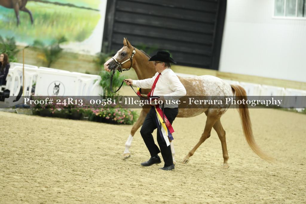 Proof 24R13_00581