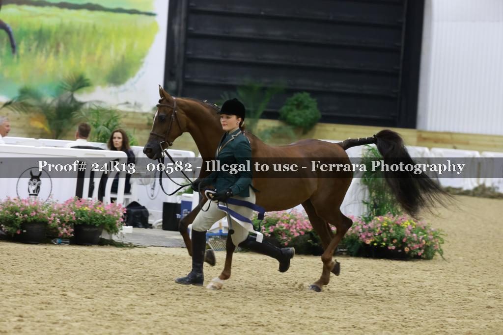 Proof 24R13_00582