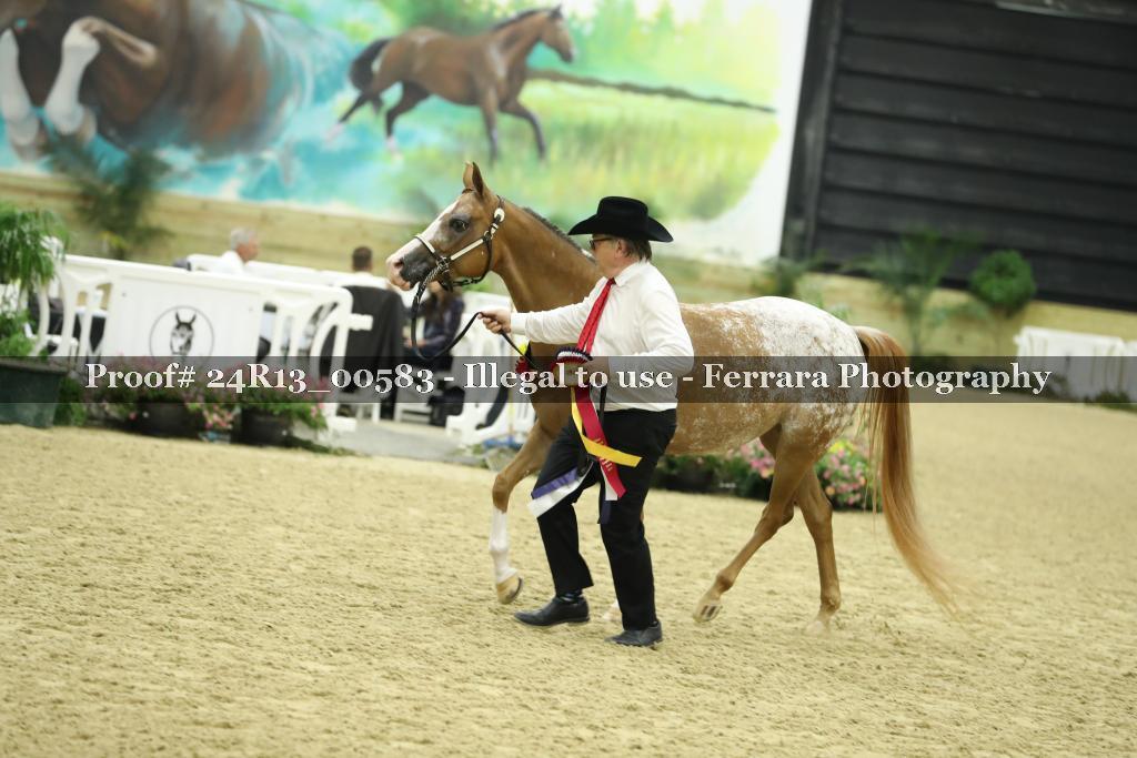 Proof 24R13_00583