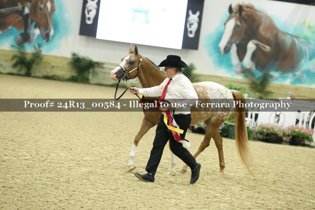 Proof 24R13_00584