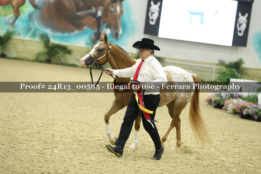 Proof 24R13_00585