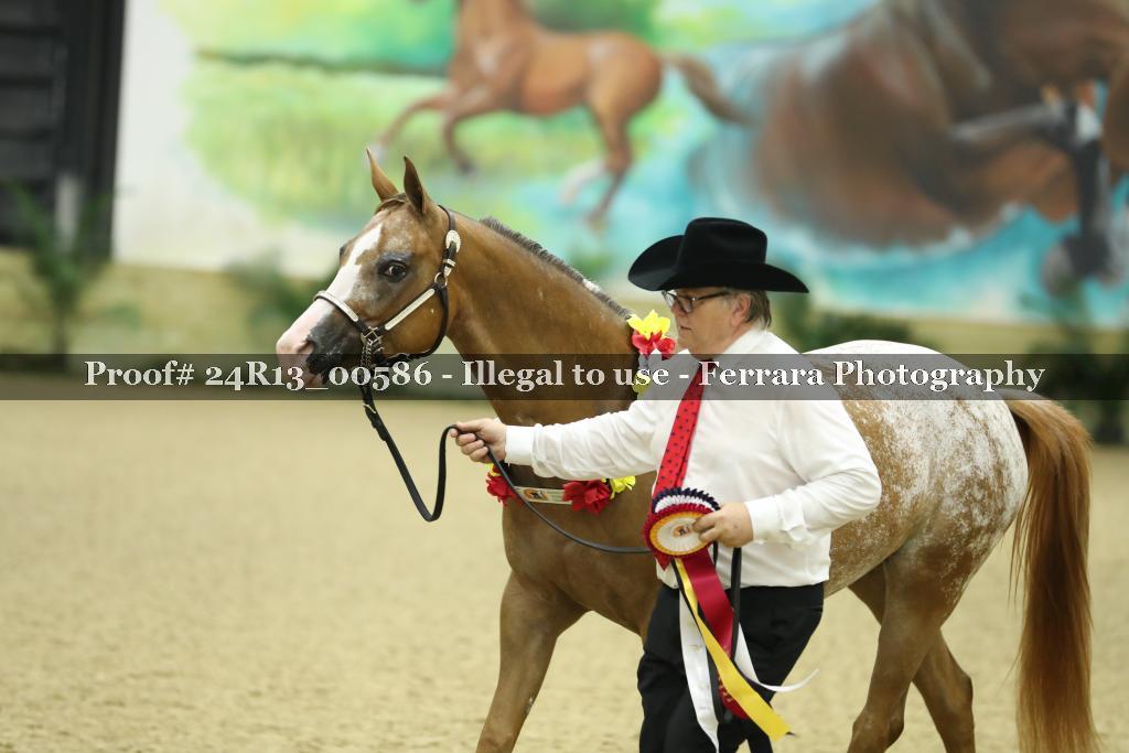 Proof 24R13_00586