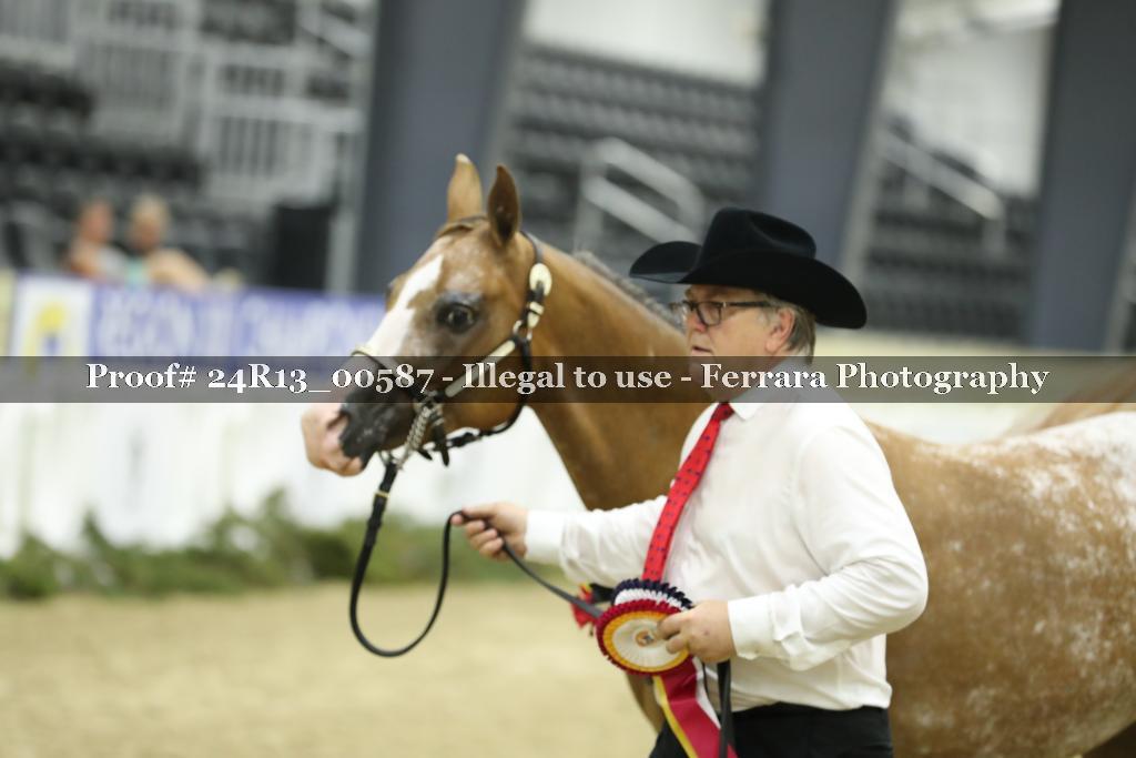 Proof 24R13_00587
