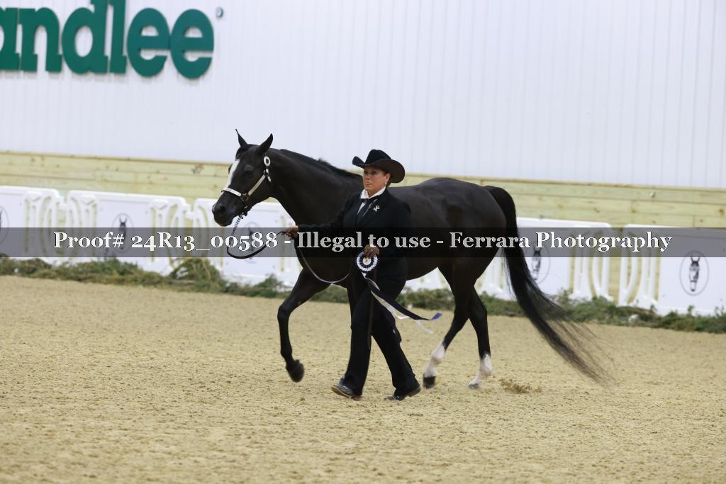 Proof 24R13_00588