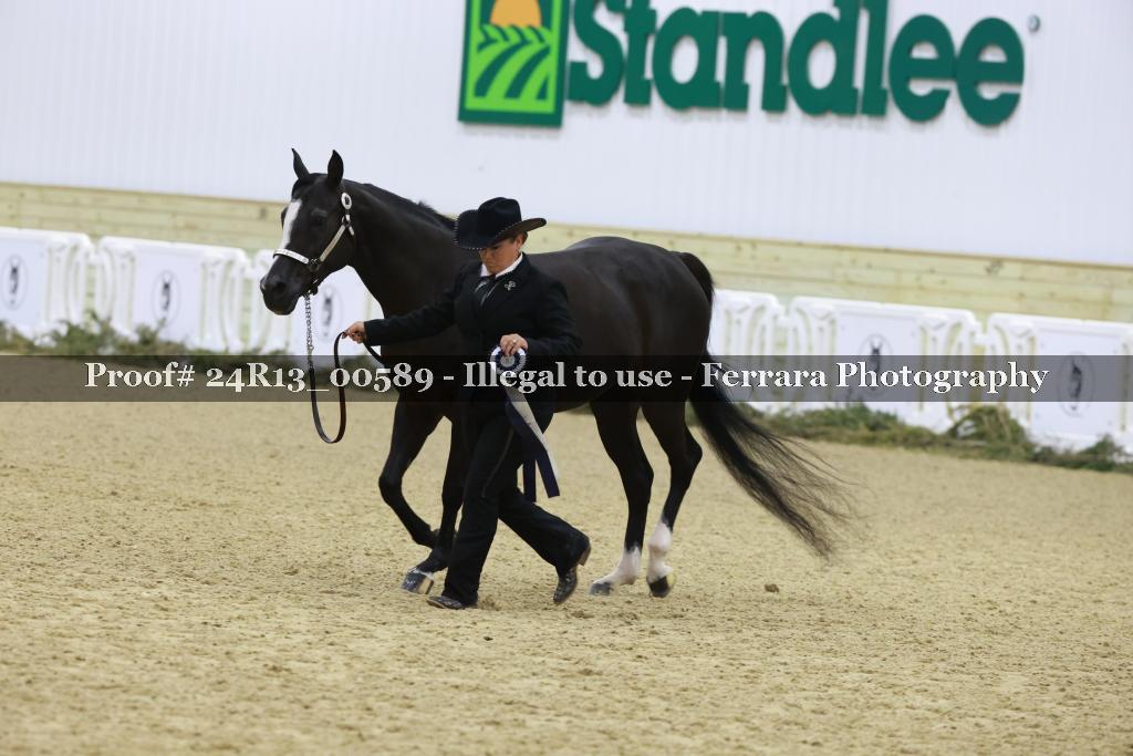 Proof 24R13_00589