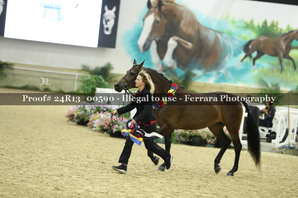Proof 24R13_00590