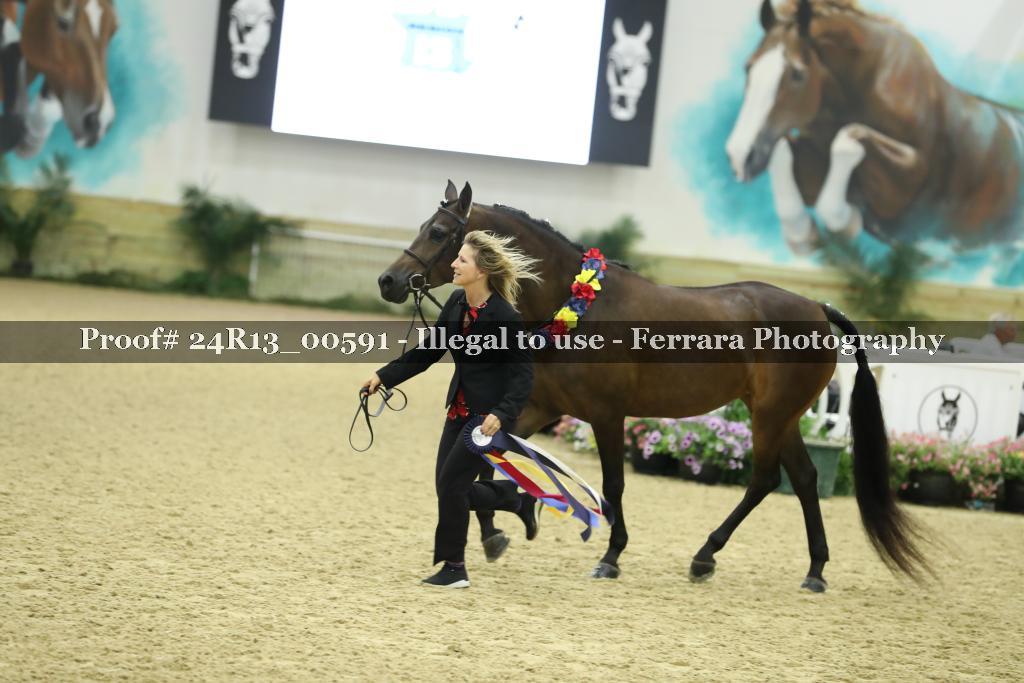Proof 24R13_00591