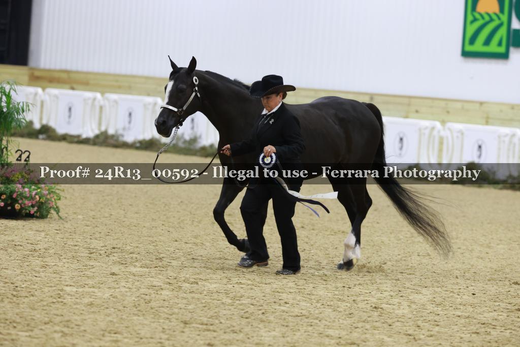 Proof 24R13_00592