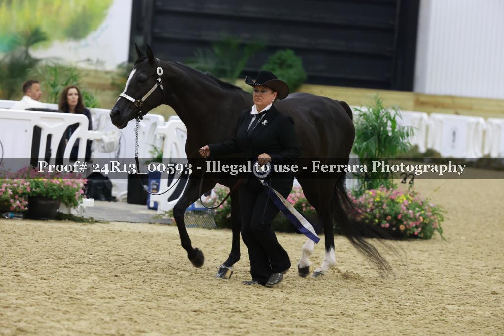 Proof 24R13_00593