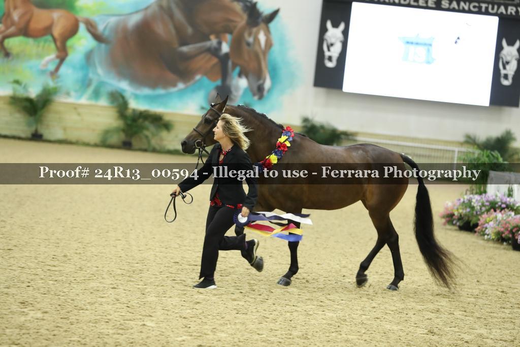 Proof 24R13_00594