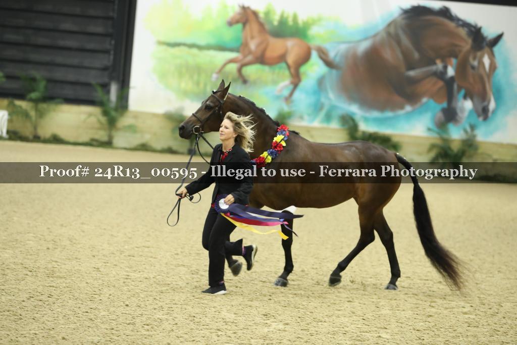 Proof 24R13_00595