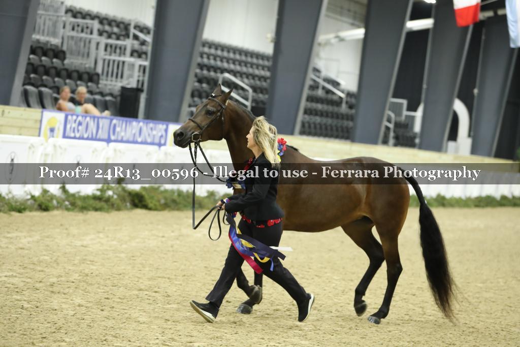 Proof 24R13_00596