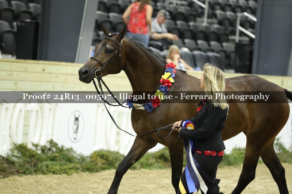 Proof 24R13_00597