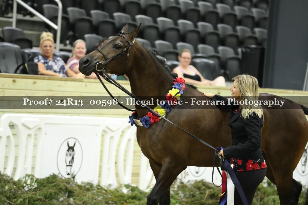Proof 24R13_00598