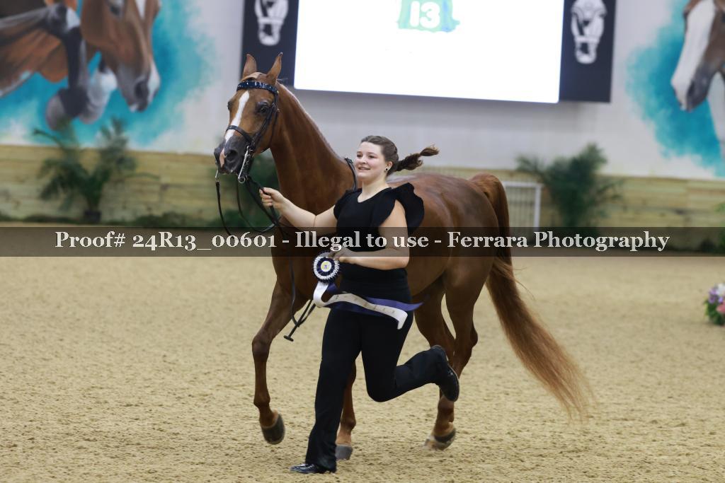 Proof 24R13_00601