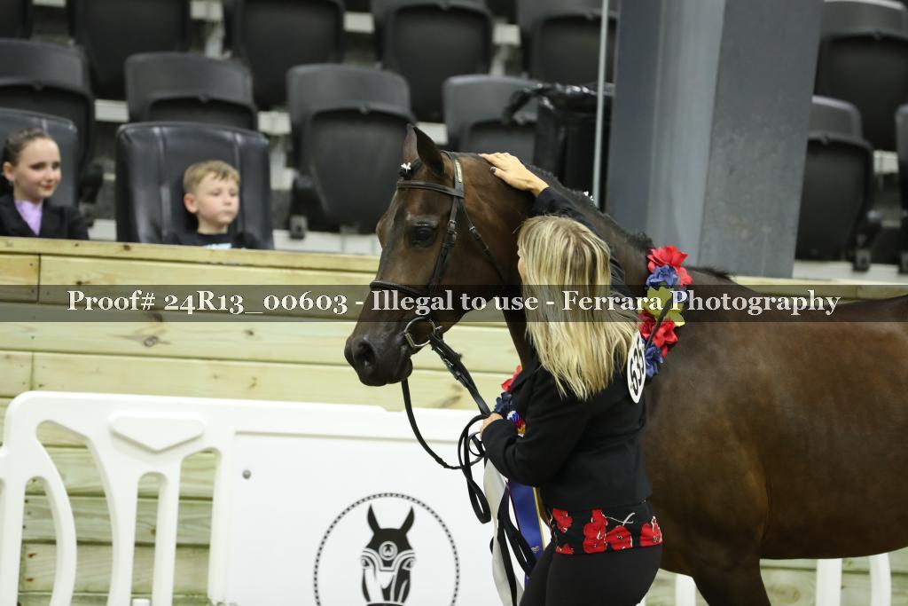 Proof 24R13_00603