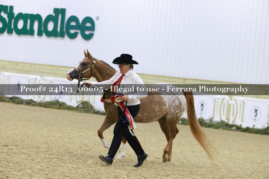 Proof 24R13_00605