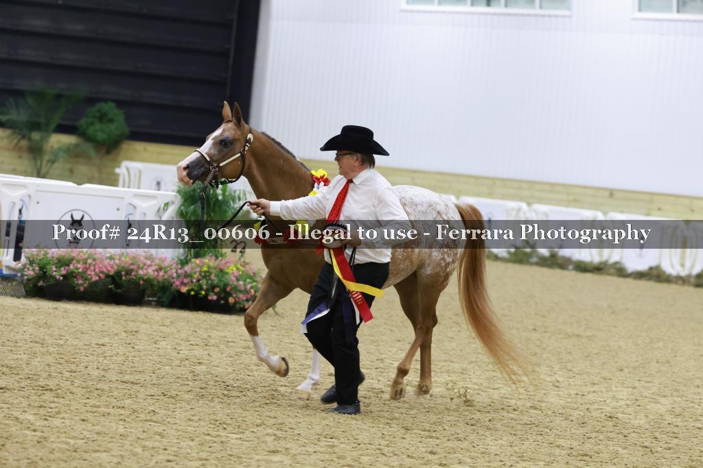 Proof 24R13_00606