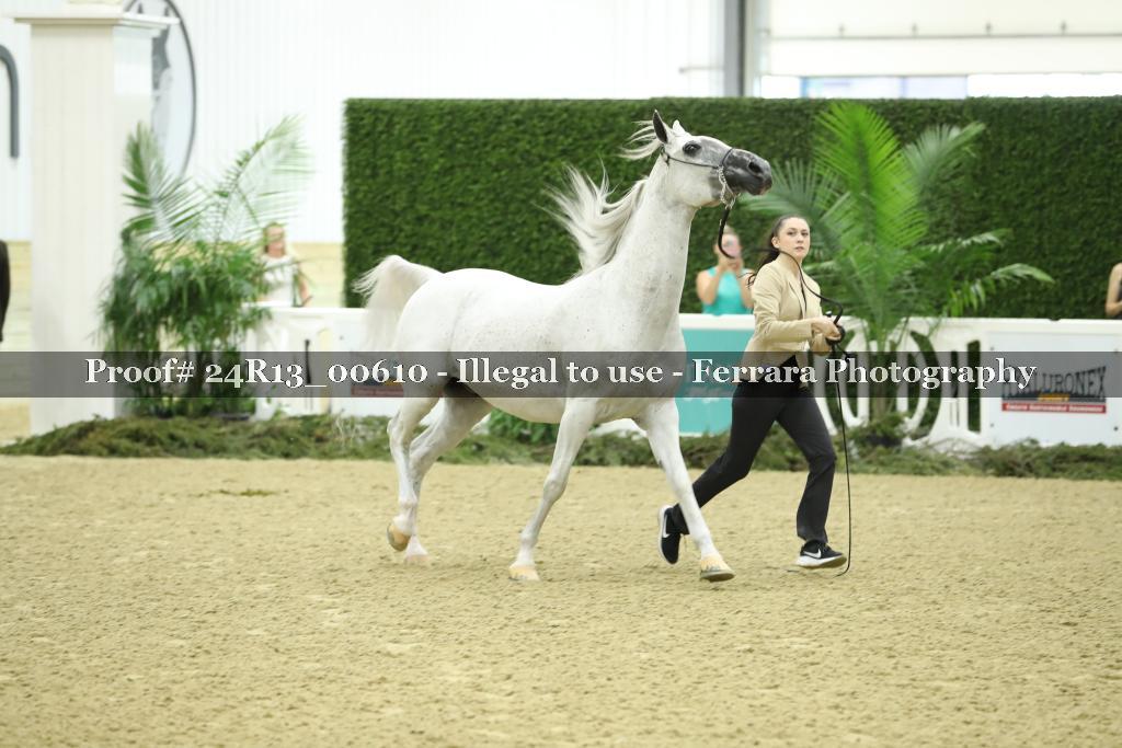 Proof 24R13_00610
