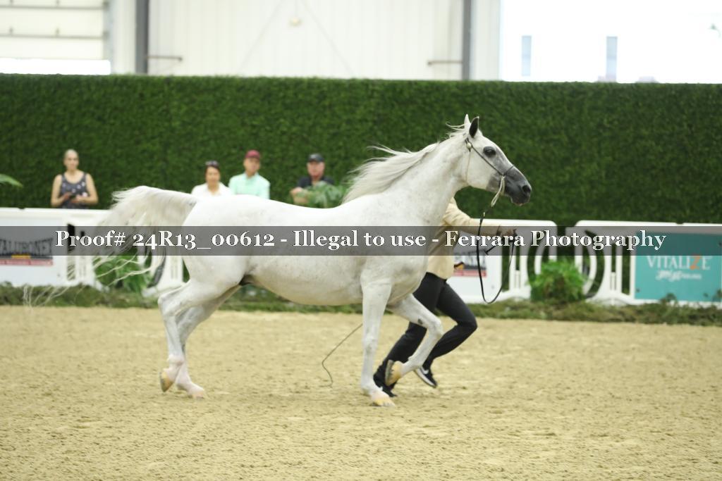 Proof 24R13_00612