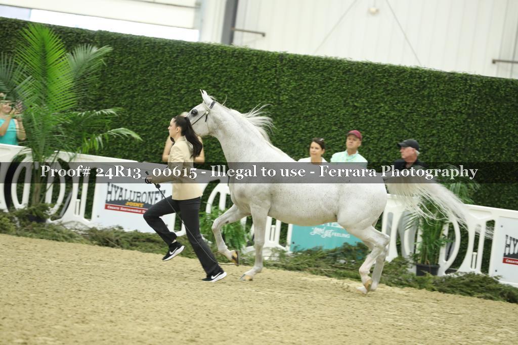 Proof 24R13_00615