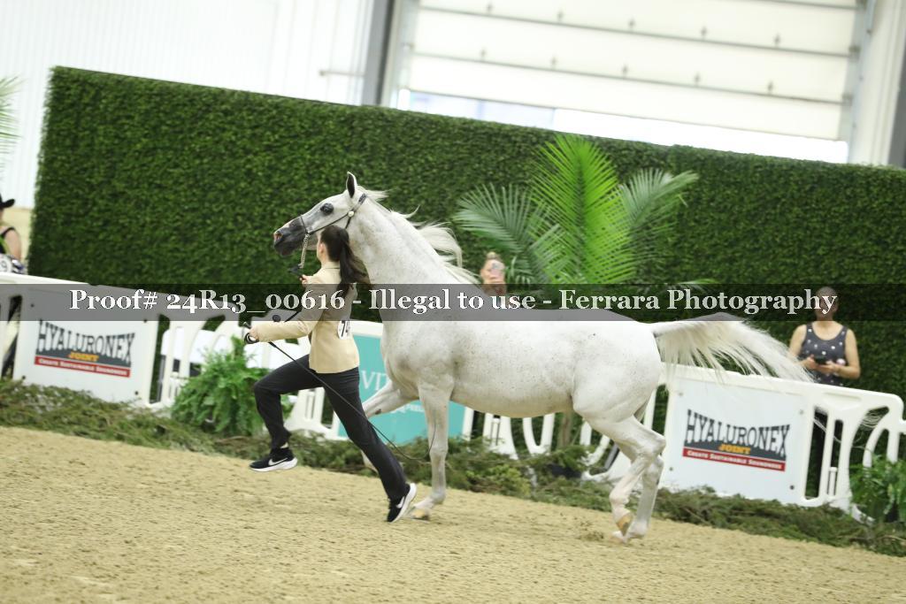 Proof 24R13_00616