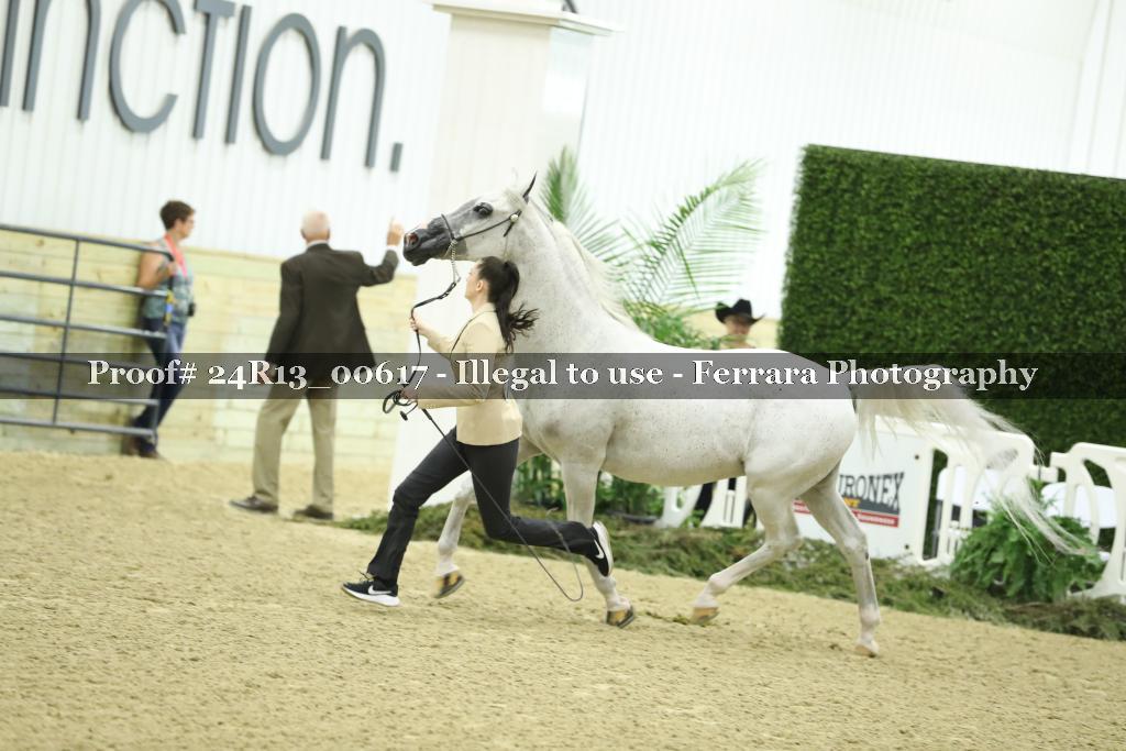 Proof 24R13_00617