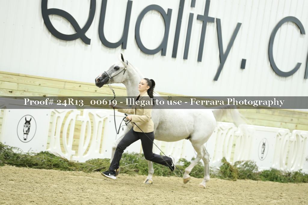 Proof 24R13_00619