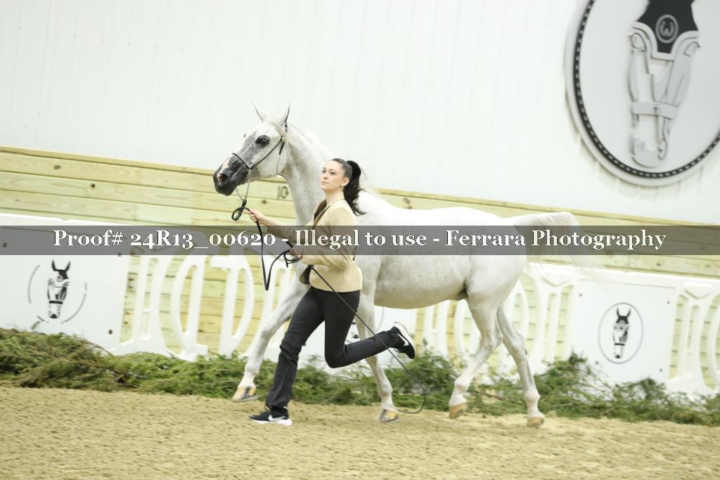 Proof 24R13_00620