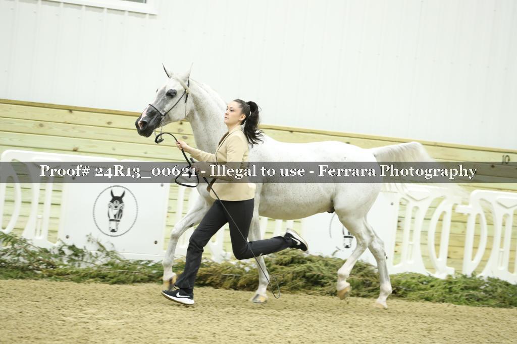 Proof 24R13_00621