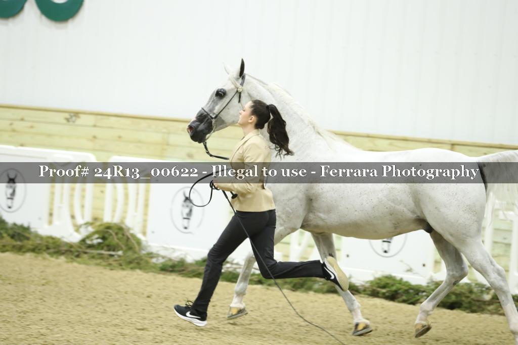Proof 24R13_00622
